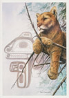 Cougar